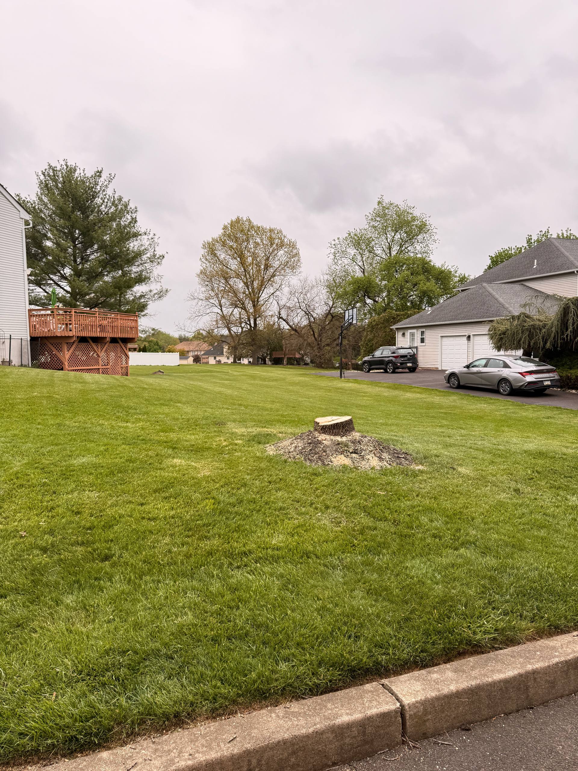 Lawn cleared of tree debris after removal