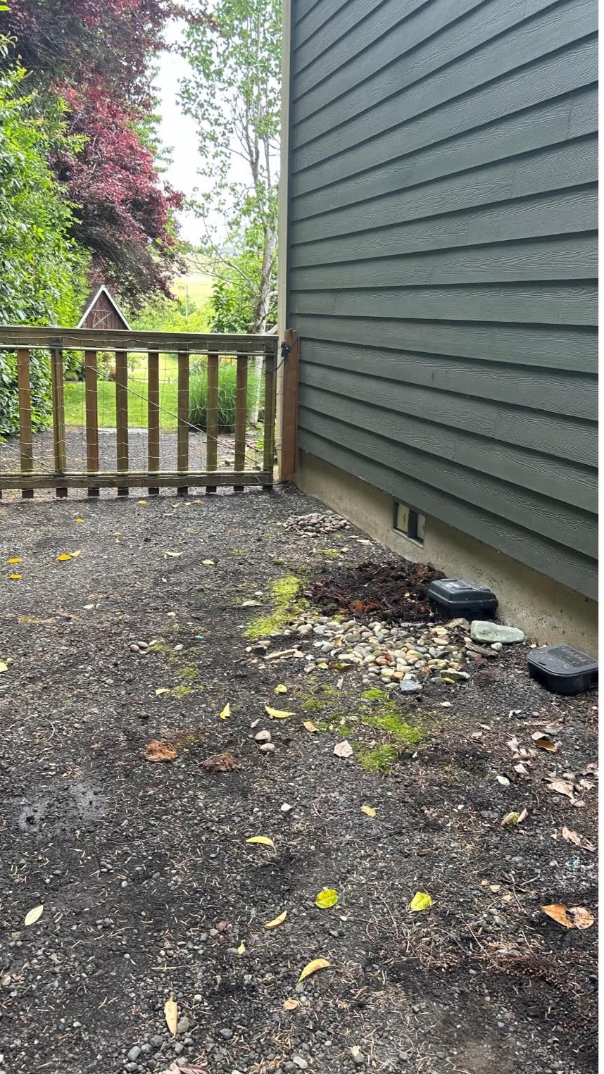 Backyard cleared and tidy after Fellas Services cleanup